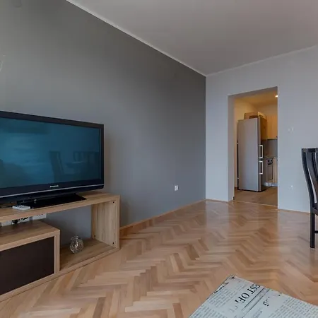 Two Bedroom Paris Apartament